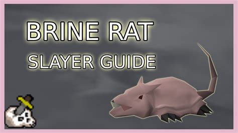 In this guide, you will learn everything there is to know about the slayer skill. . Brine rats osrs